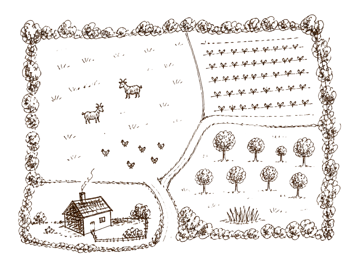 Hand-drawn back-of-notebook sketch of a smallholding plot with pasture, growing patch, orchard, dwelling and hedgerow border